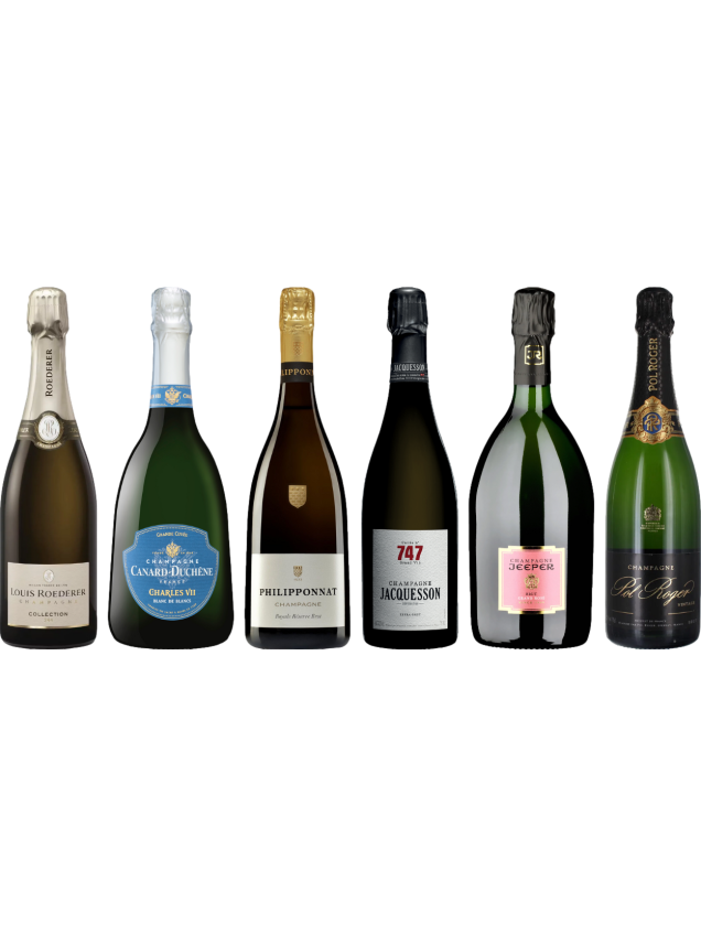 Champagne Premium Tasting Case