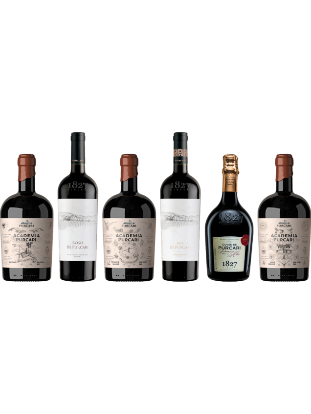 Chateau Purcari Premium Moldavian Wine Tasting Case