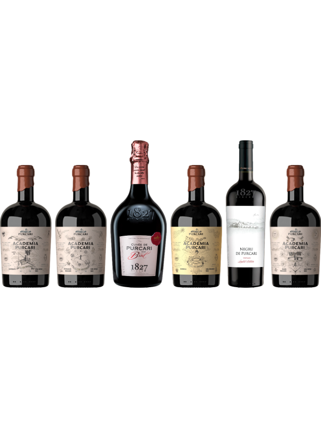 Chateau Purcari Premium Moldavian Wine Tasting Case