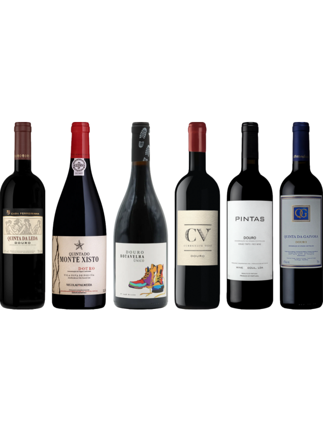 Douro Red Premium Tasting Case