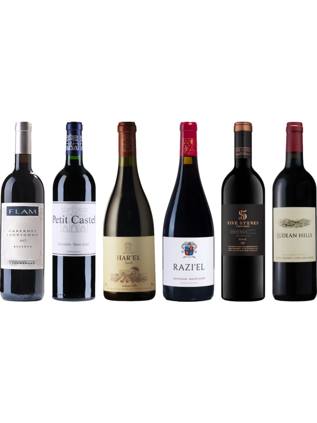 Israel Red Wine Premium Tasting Case