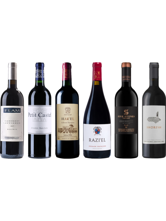 Israel Red Wine Premium Tasting Case