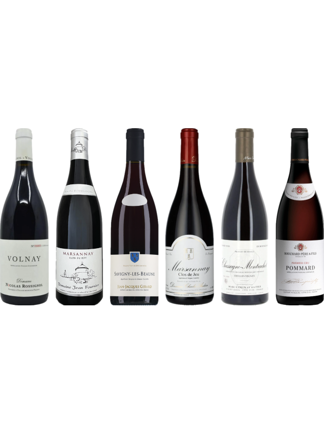 Red Burgundy Tasting Case