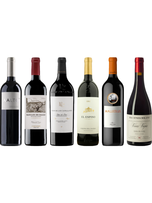 Ribera del Duero Premium Tasting Case