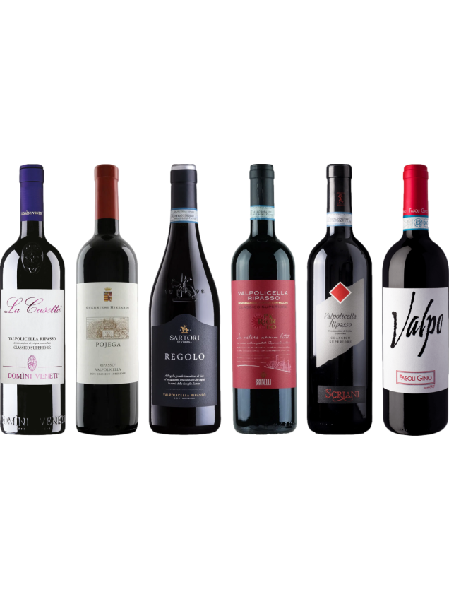 Valpolicella Ripasso Premium Tasting Case