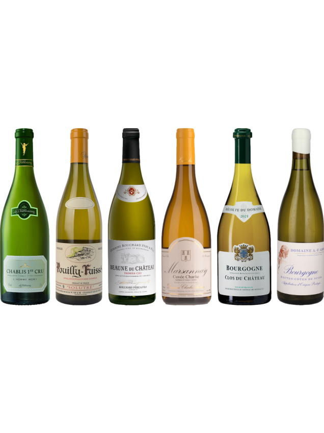 White Burgundy Tasting Case