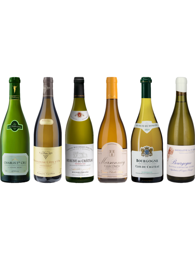 White Burgundy Tasting Case