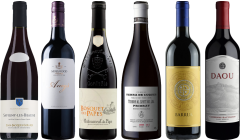 8Wines Staff Picks Red Wine Tasting Case