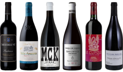 8Wines Staff Picks Red Wine Tasting Case