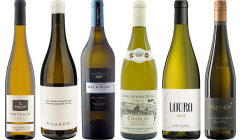 8Wines Staff Picks White Wine Tasting Case