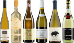 8Wines Staff Picks White Wine Tasting Case