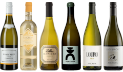 8Wines Staff Picks White Wine Tasting Case