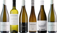 Albarino Premium Tasting Case