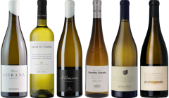 Albarino Premium Tasting Case