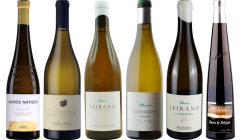 Albarino Premium Tasting Case