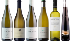 Albarino Premium Tasting Case