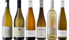 Albarino Premium Tasting Case