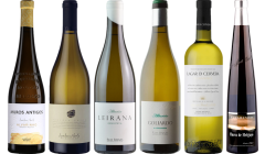 Albarino Premium Tasting Case