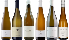 Albarino Premium Tasting Case