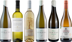 Albarino Premium Tasting Case