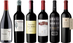 Argentinian Malbec Premium Tasting Case