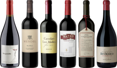 Argentinian Malbec Premium Tasting Case