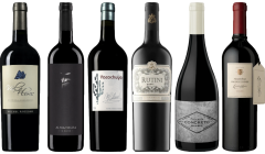 Argentinian Malbec Premium Tasting Case