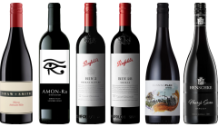 Australian Shiraz Premium Tasting Case
