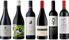 Australian Shiraz Premium Tasting Case