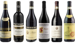 Barbaresco Premium Tasting Case