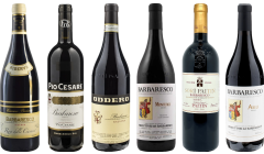 Barbaresco Premium Tasting Case