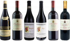 Barbaresco Premium Tasting Case