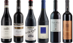 Barolo Premium Tasting Case