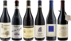 Barolo Premium Tasting Case