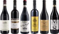 Barolo Premium Tasting Case