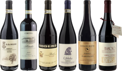 Barolo Premium Tasting Case