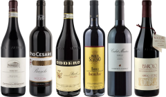 Barolo Premium Tasting Case