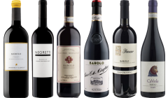 Barolo Top Value Tasting Case