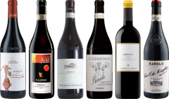 Barolo Top Value Tasting Case