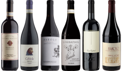 Barolo Top Value Tasting Case