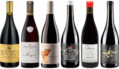 Beaujolais Premium Tasting Case