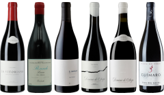 Bierzo and Galicia Mencia Premium Tasting Case