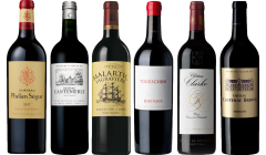 Bordeaux Red Tasting Case