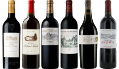 Bordeaux Red Tasting Case