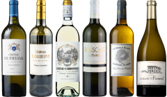 Bordeaux White Tasting Case