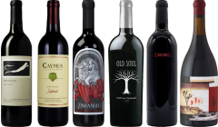 California Zinfandel Premium Tasting Case