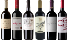 Carmenere Tasting Case