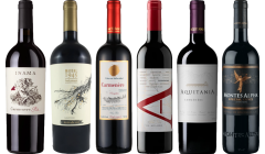 Carmenere Tasting Case