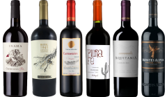 Carmenere Tasting Case