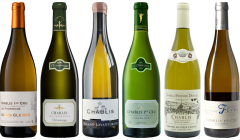 Chablis Tasting Case